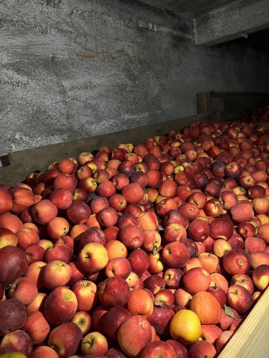 Vand mere diferite soiuri