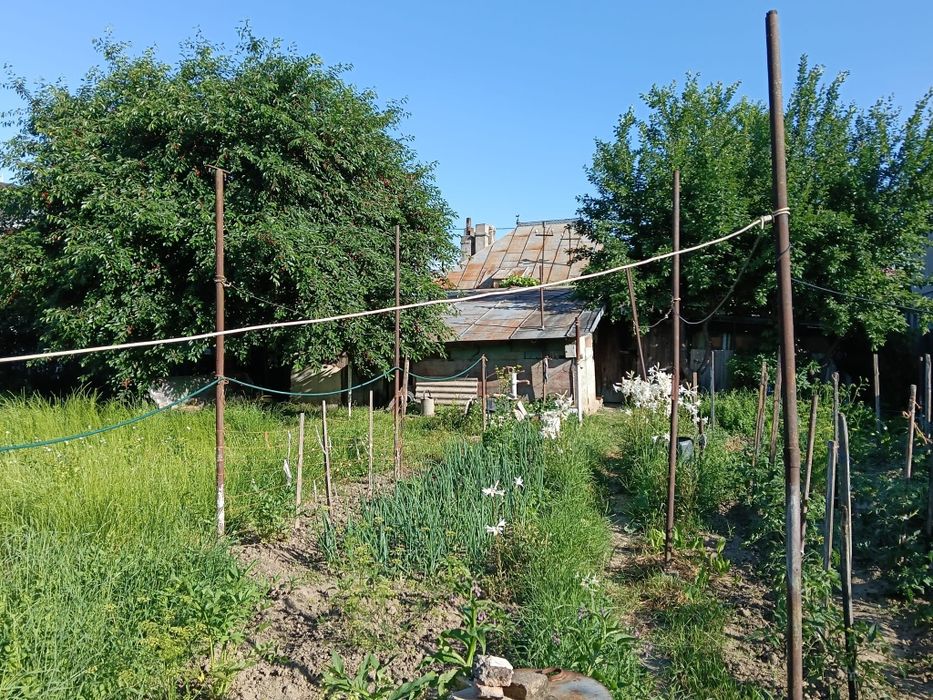 House in Bacau - Mai multe