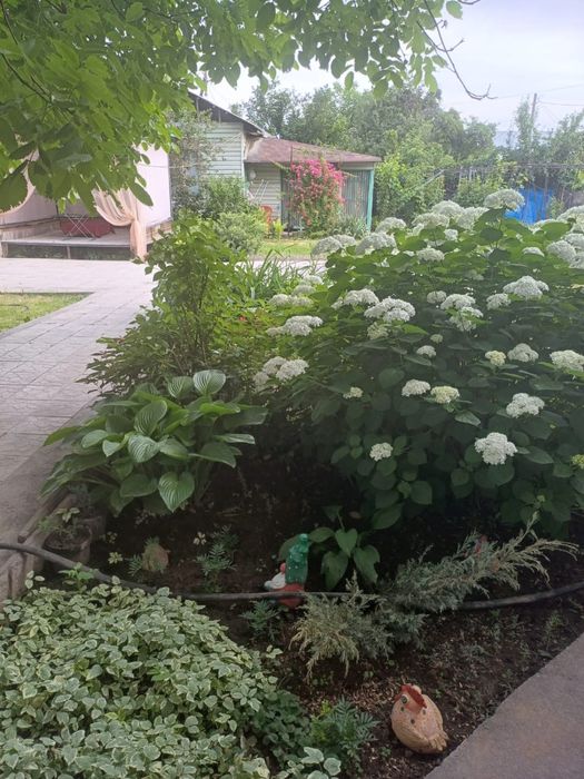 Продам жилую дачу