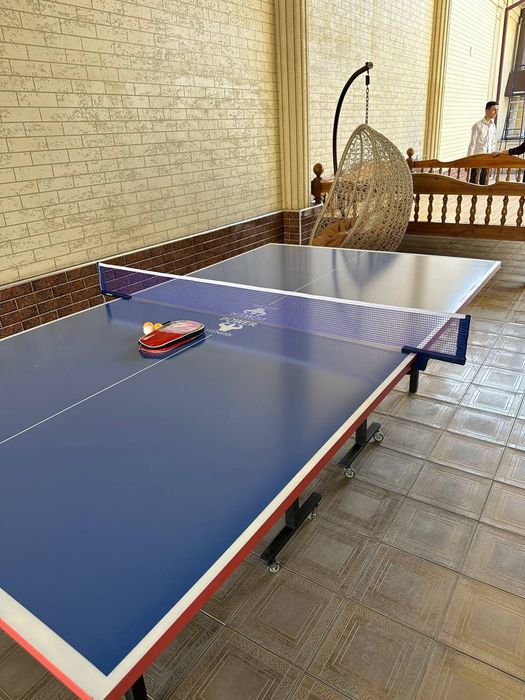 Теннисный стол , тенис стол трансформер