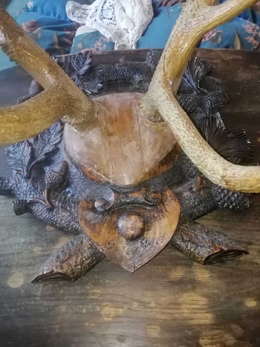 Coarne vechi cerb 1927