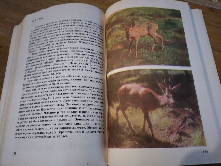 Енциклопедия за растения и животни