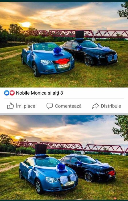 Decoratiuni ornamente joben coronițe papion buze