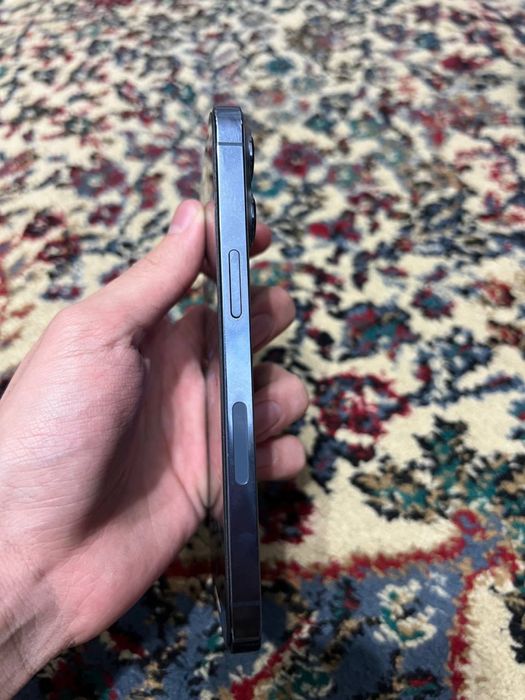 Iphone 13 pro кичкина доги бор