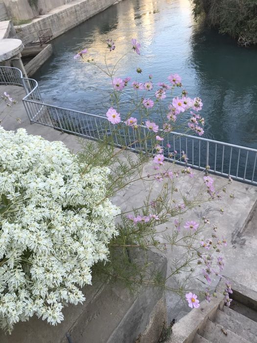 Продается Дача в Кибрайском районе