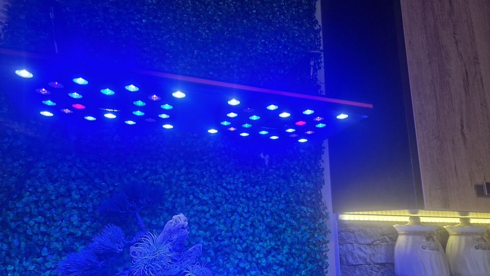 Соленоводен аквариум