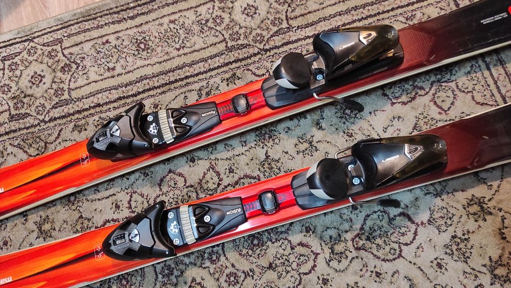 Горные лыжи elan