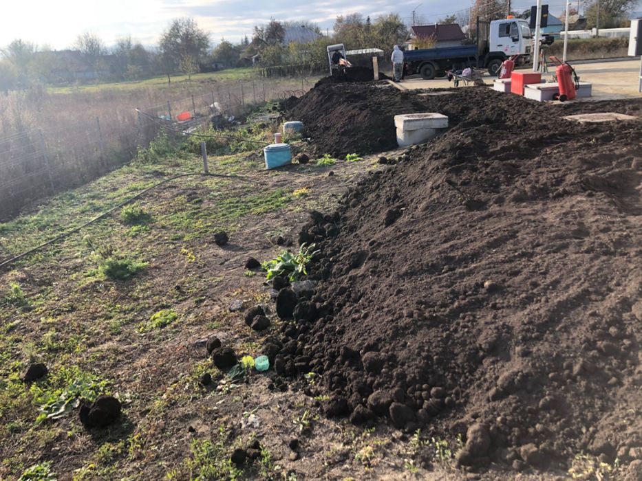 Pamant negru vegetal pentru gazon