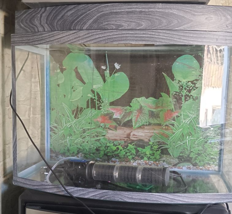 Аквариум 70 литров состояние отличное