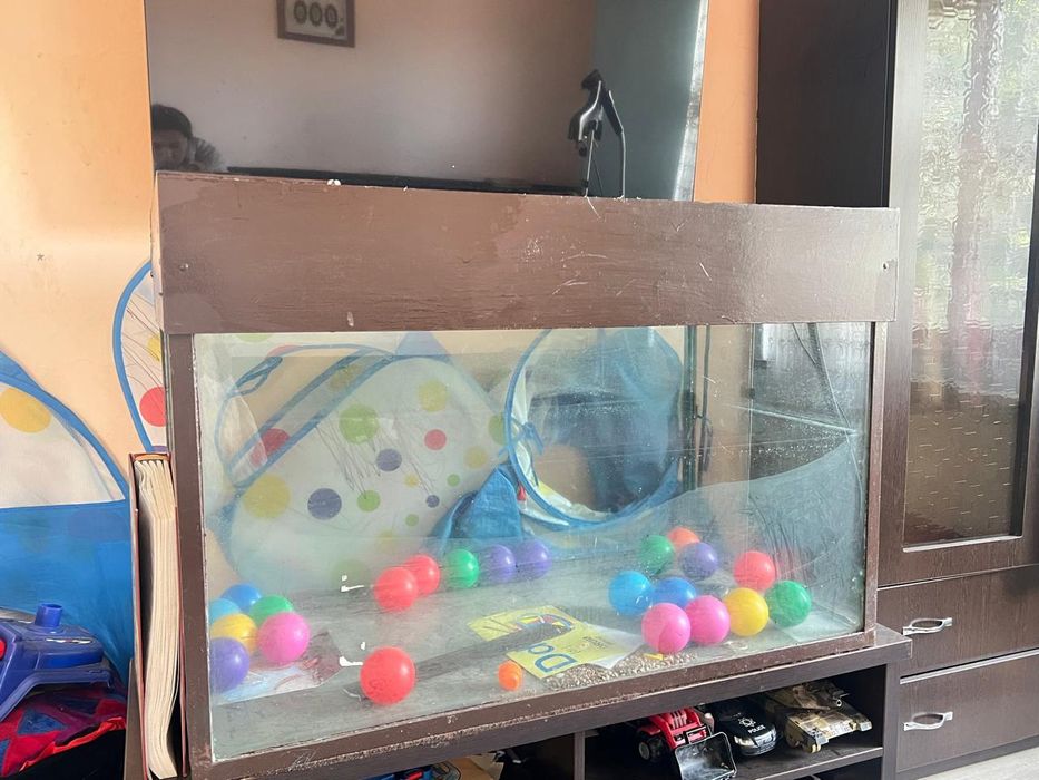 Аквариум для рыб