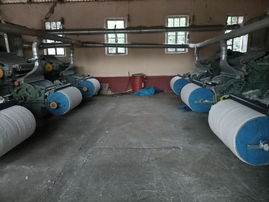 Paxta Toshkent boʻylab OPTUM narxlarda.