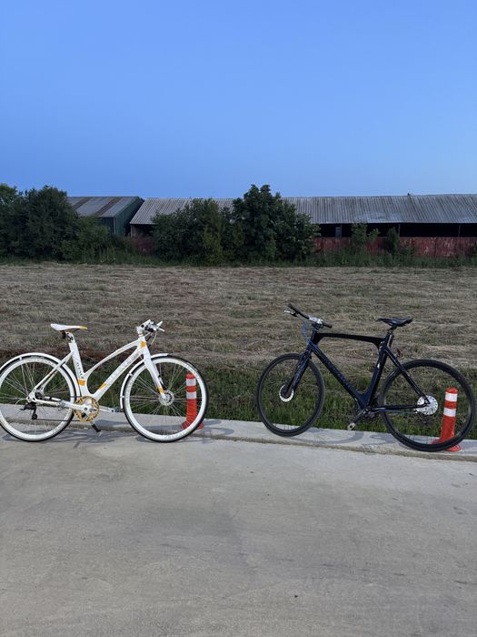Bicicleta dama Avenue