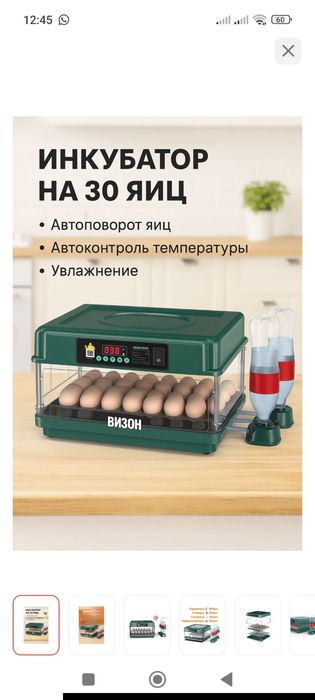 Инкубатор Бизон новый