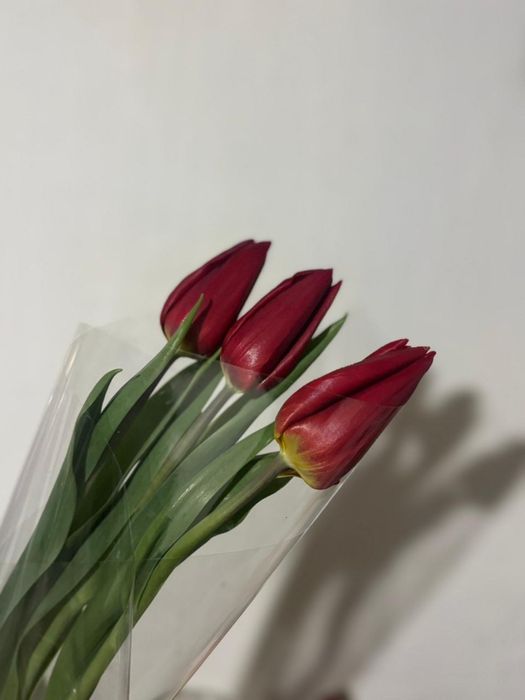 Тюлпаны цветы с доставкой по городу