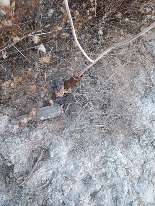 Шұғыл түрде Жер сатылады.