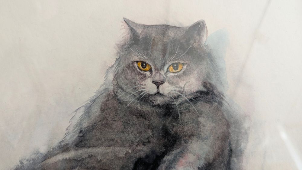 Невероятен Акварел, пухкава котка, изкуство, картина, оригинал, коте