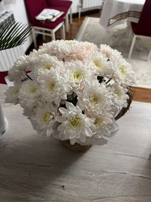 Цветы хризантемы.