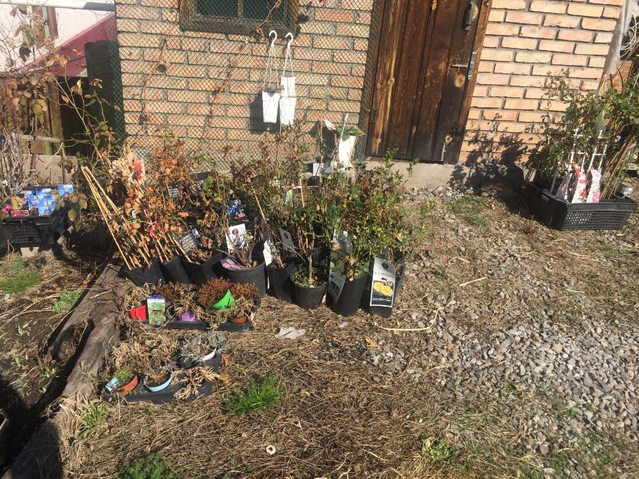 Продам особняк (недостроенный) в Медеуском районе