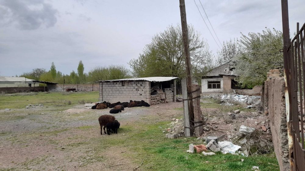 Ховли уй сотилади 38 соток, Охангарон туман Телов МФЙда