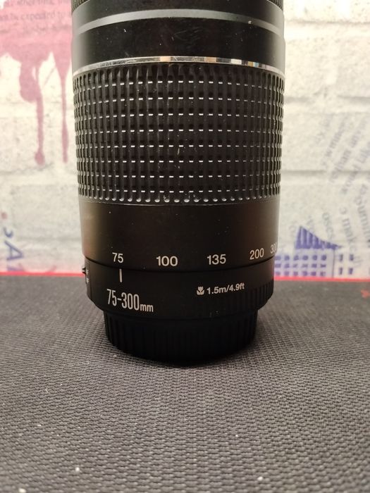 Canon EF 75-300mm 1:4-5.6 III