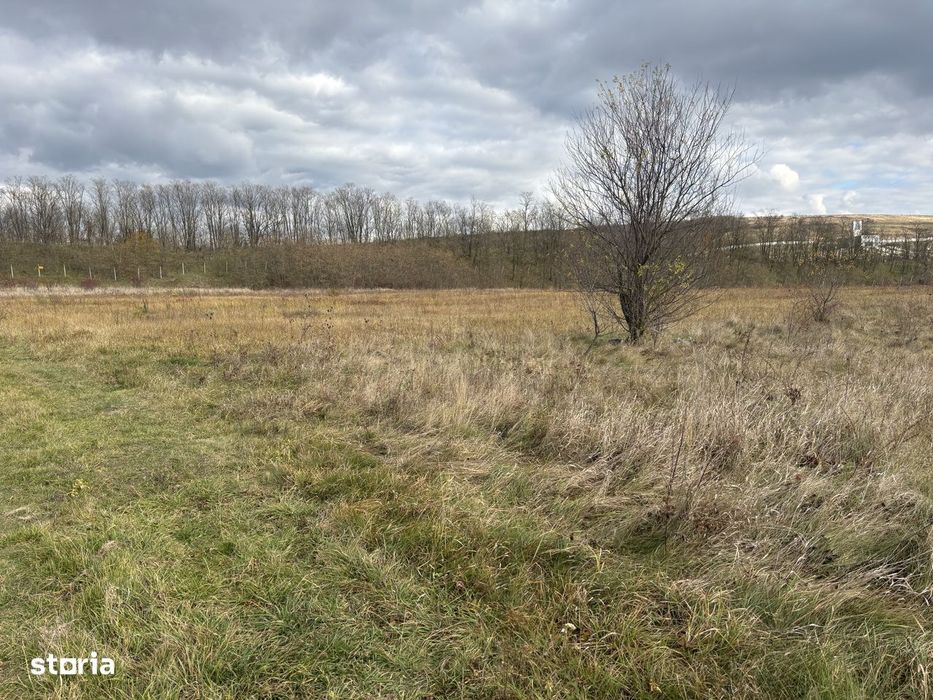 Teren intravilan Sopor