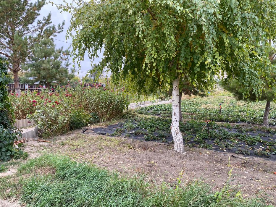 продаетсия дом на поселк Кенгир