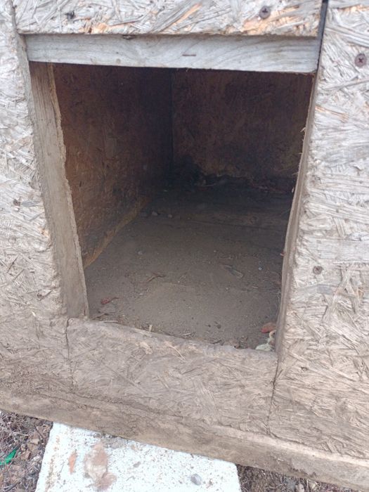 Конура для собаки