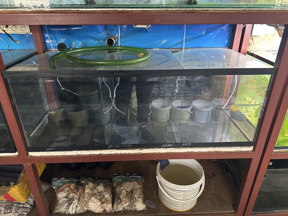 Аквариумы б/у срочно