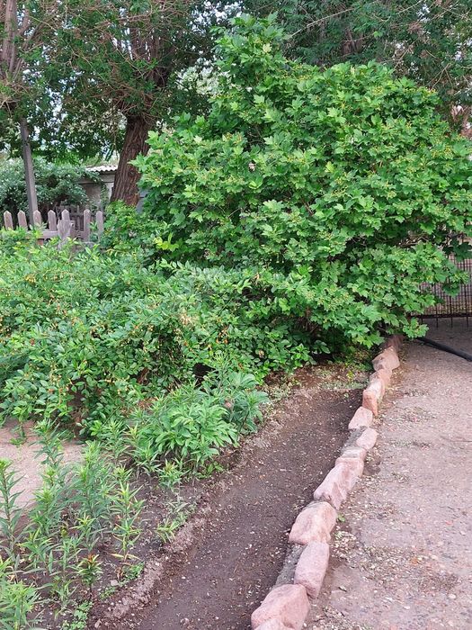 Торангылык 130 м2