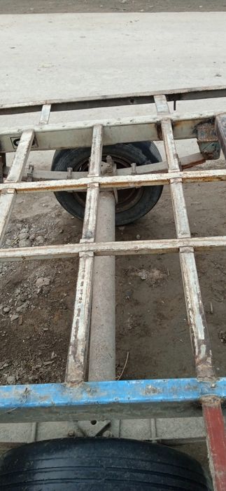 Prsep Tirkama sotiladi Niva sudragan arava