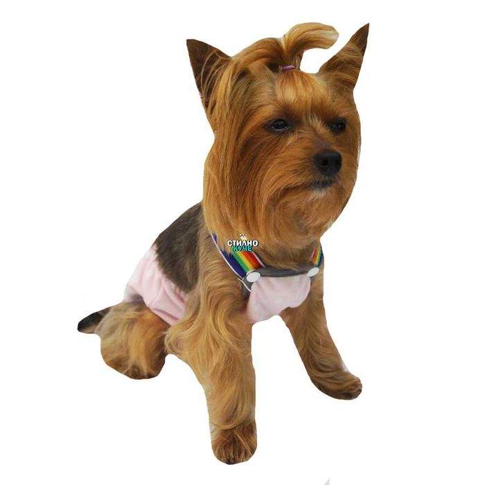 Хигиенни гащи за разгонени женски кучета Кучешки гащи Кучешки дрехи