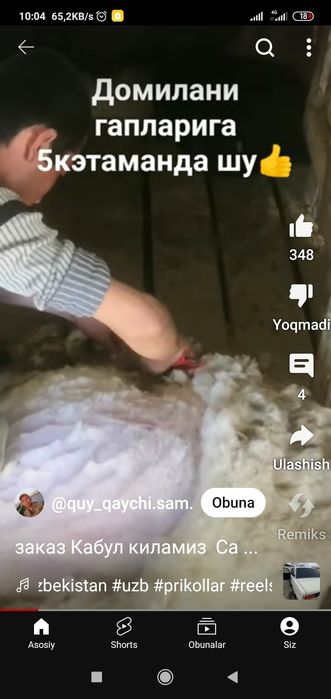 Quy juni olish xizmati