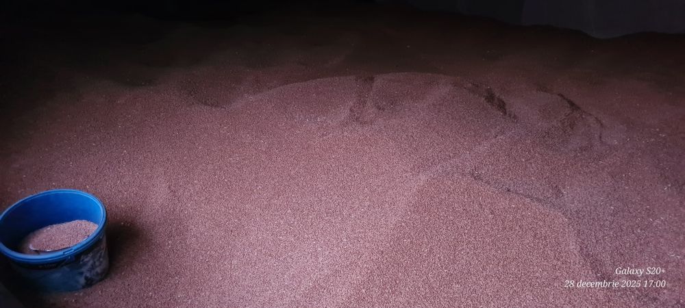 Vând grâu recolta 2025