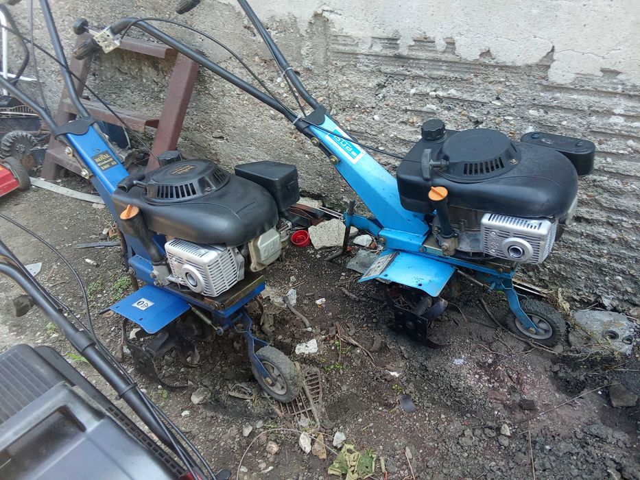 косачки нов внос