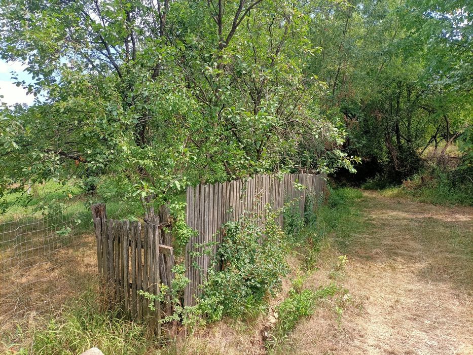 Vând  Teren Rădești Stâlpeni