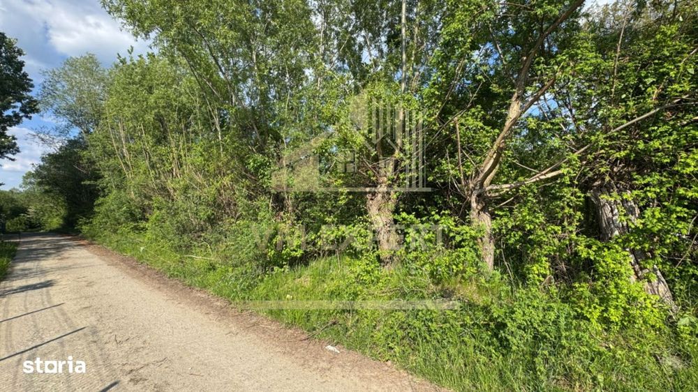 Teren Intravilan 2943 Mp Campulung