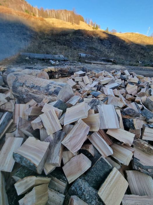 Lemne de foc fag si carpen capete uscate sau verzi 600.lei tona