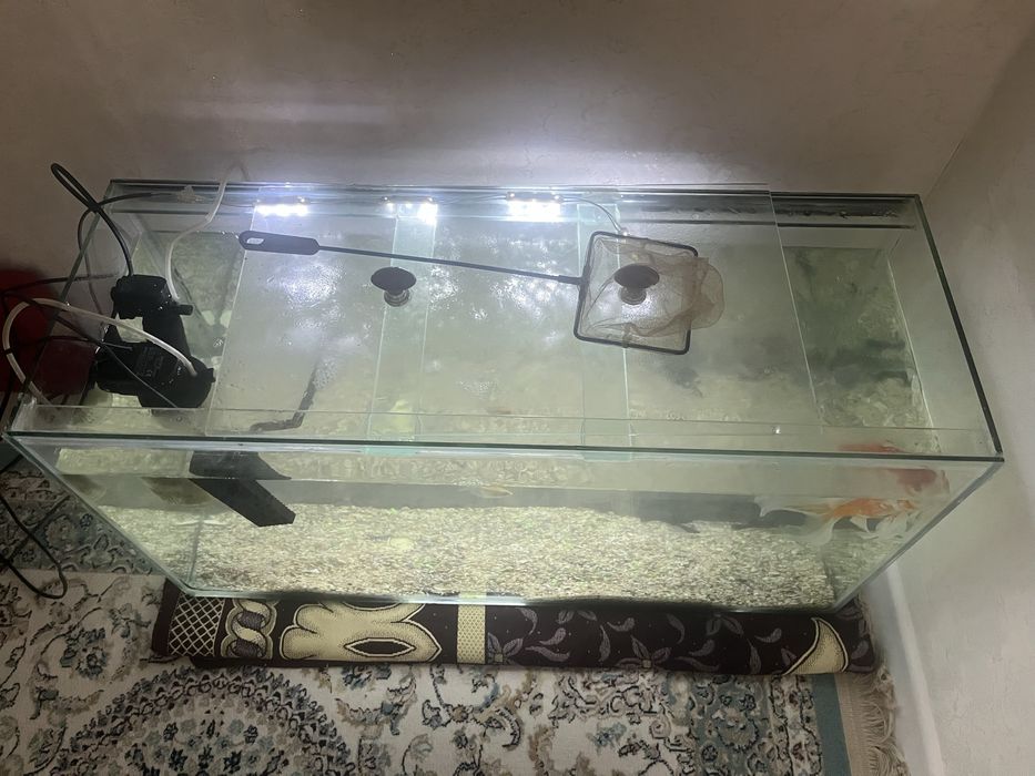 Аквариум. 120литр