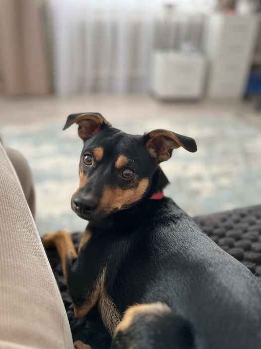 Вязка опытный кабель