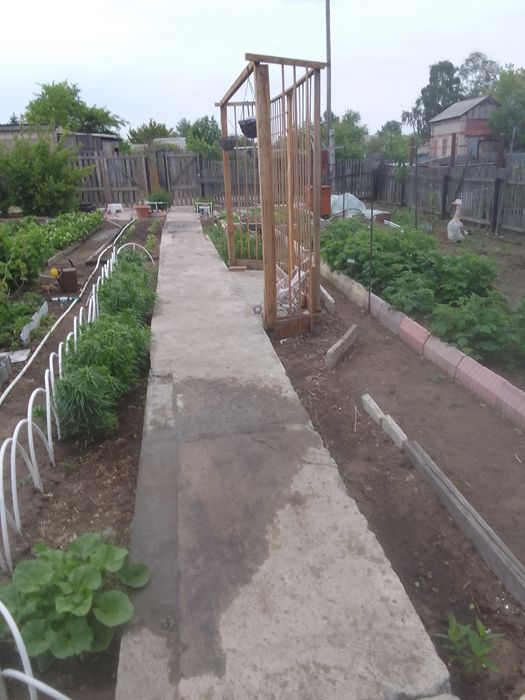 Продам дачу Сад Здоровье