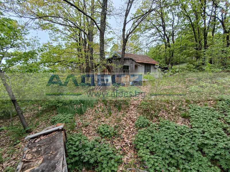 Продава се Парцел в с. Царичина, Област София-област - 1003 кв.м за 30 €/кв.м - Снимка #1