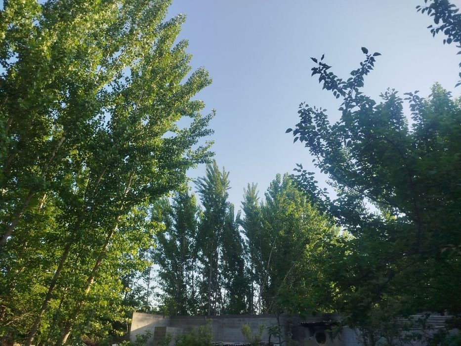 3 xonali uy sotiladi