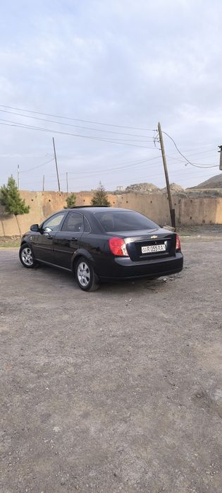 Жентра 2023 Краска тозза