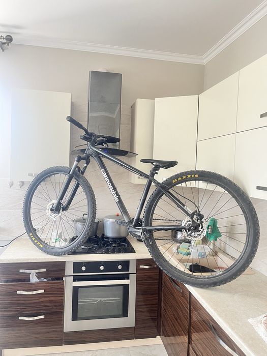Cannondale trail 7 M 2021