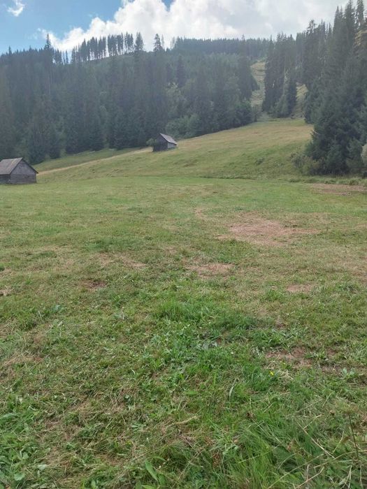 Teren 24134 mp Ciocanesti, Jud. Suceava