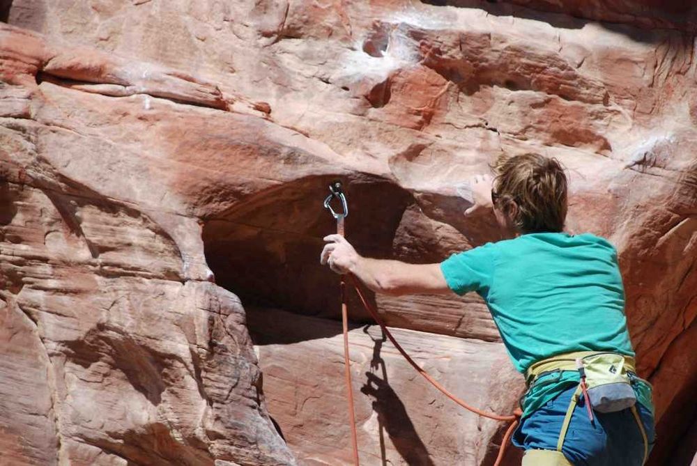 set bucle echipate (6x) Black Diamond FreeWire Quickdraw, noi