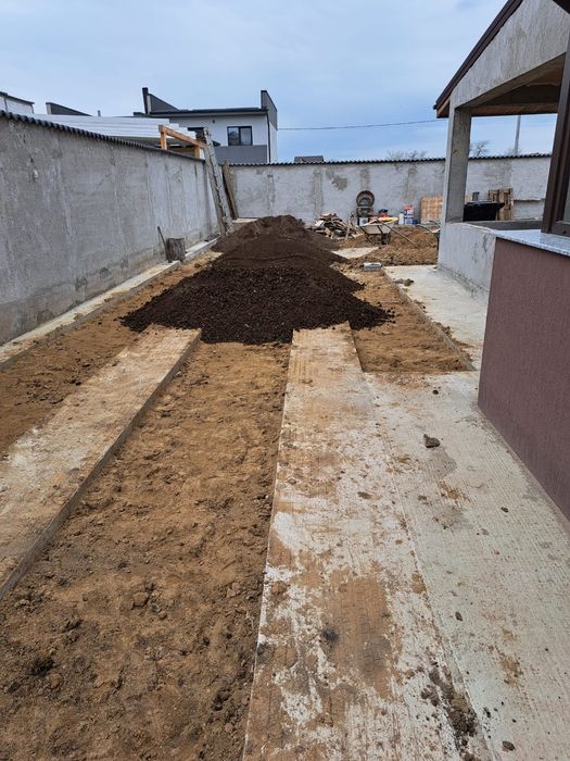 MRANIȚĂ CERNUTĂ ( balegar macerat), pamant negru pentru gradina
