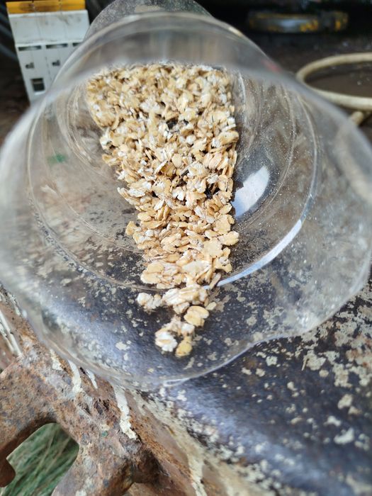 Плющелка вальцовая зерна на 380в