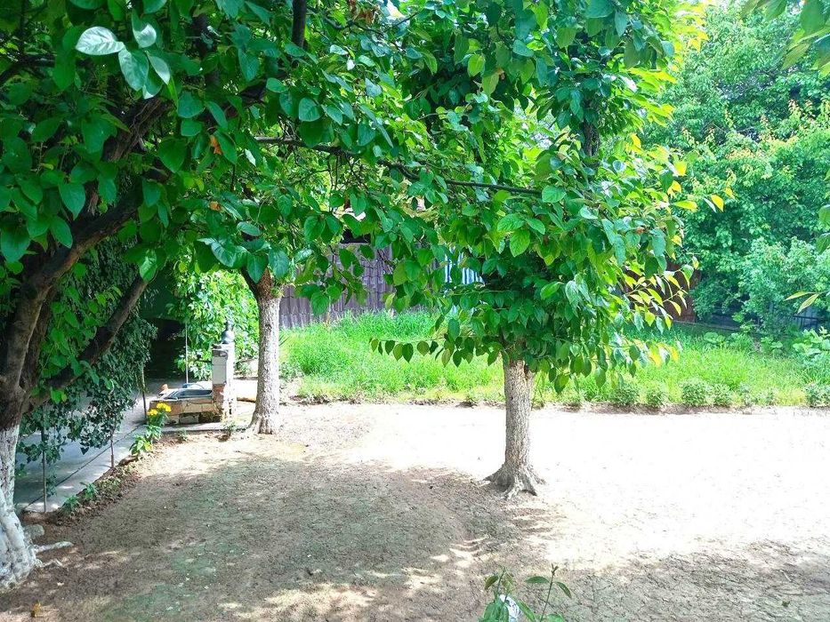 Срочно Арзон  ЕР участкаси  сотилади 5 сотик 1 ХОНА  Кибрай рн Чинобод