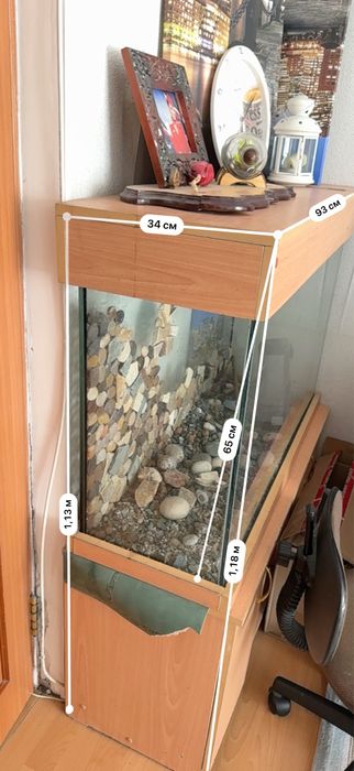 Аквариум хорошоя состаяние